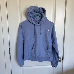 Champion Perrywinkle Blue Purple Hoodie Sweatshirt